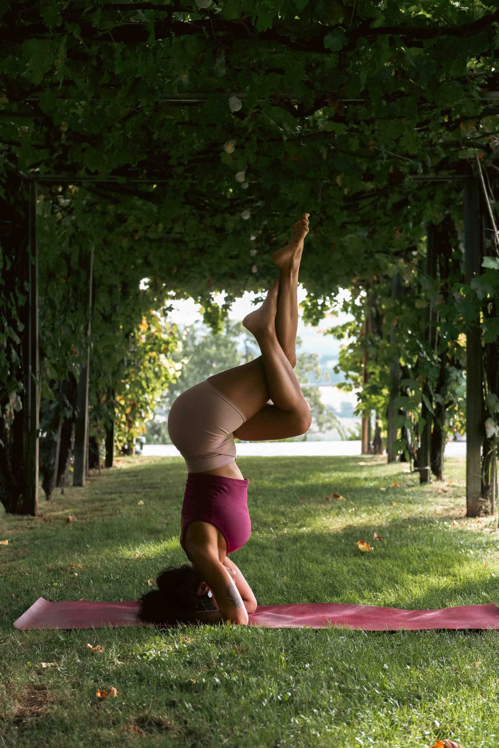 Yoga Vinyasa presencial