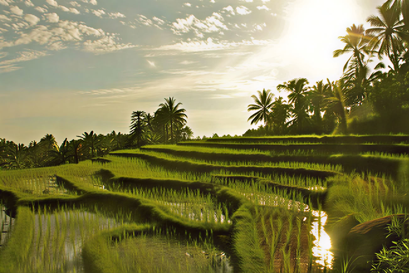 Retiro de yoga en Bali