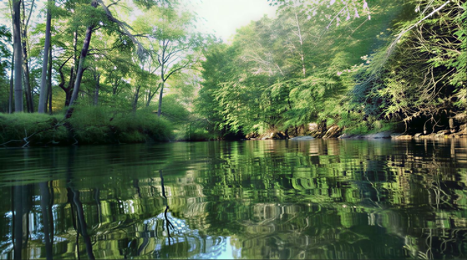 Retiro de la Diosa de Otoño en Anahata