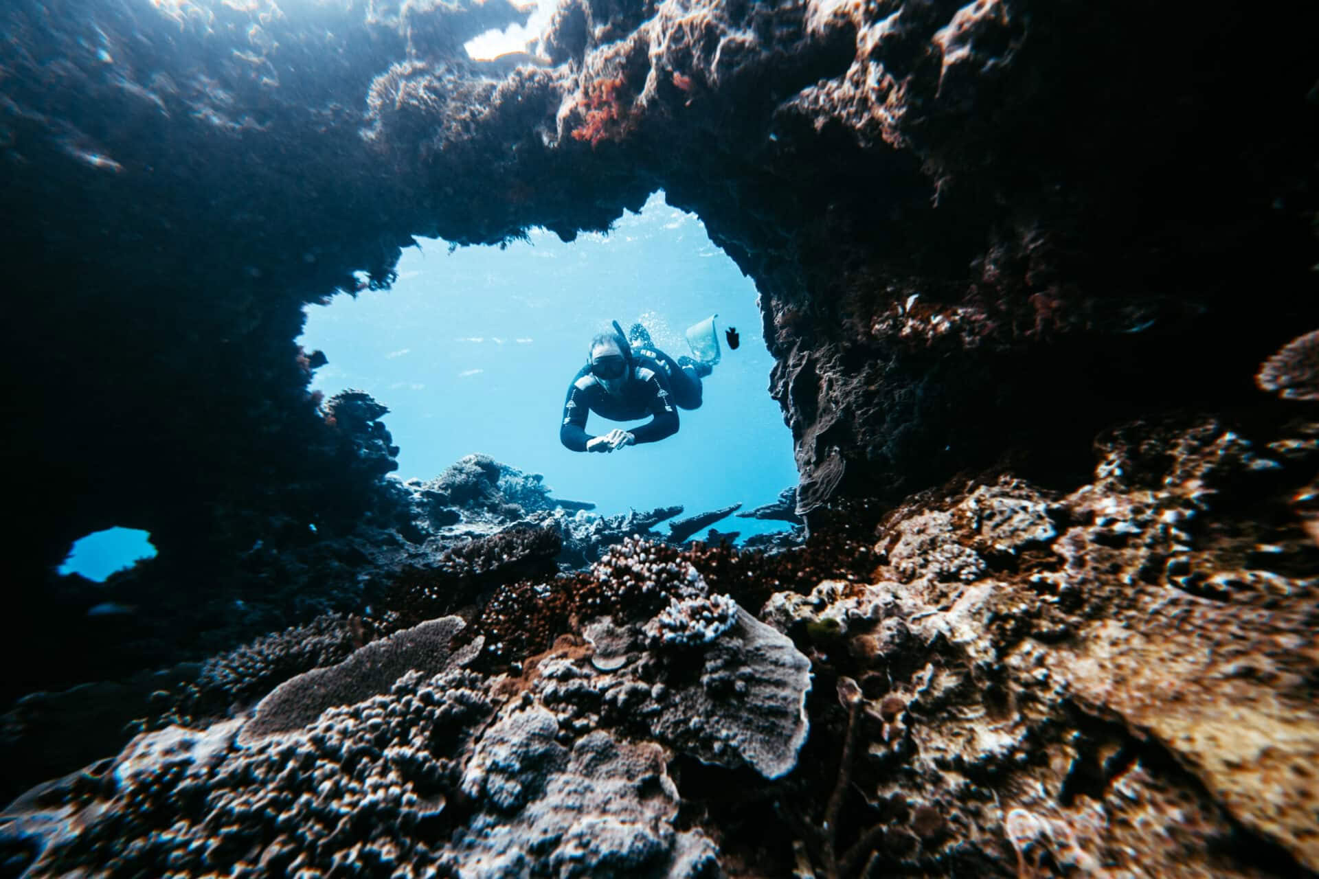 Inmersión libre en Lady Elliot Island e invitación solo para invitados