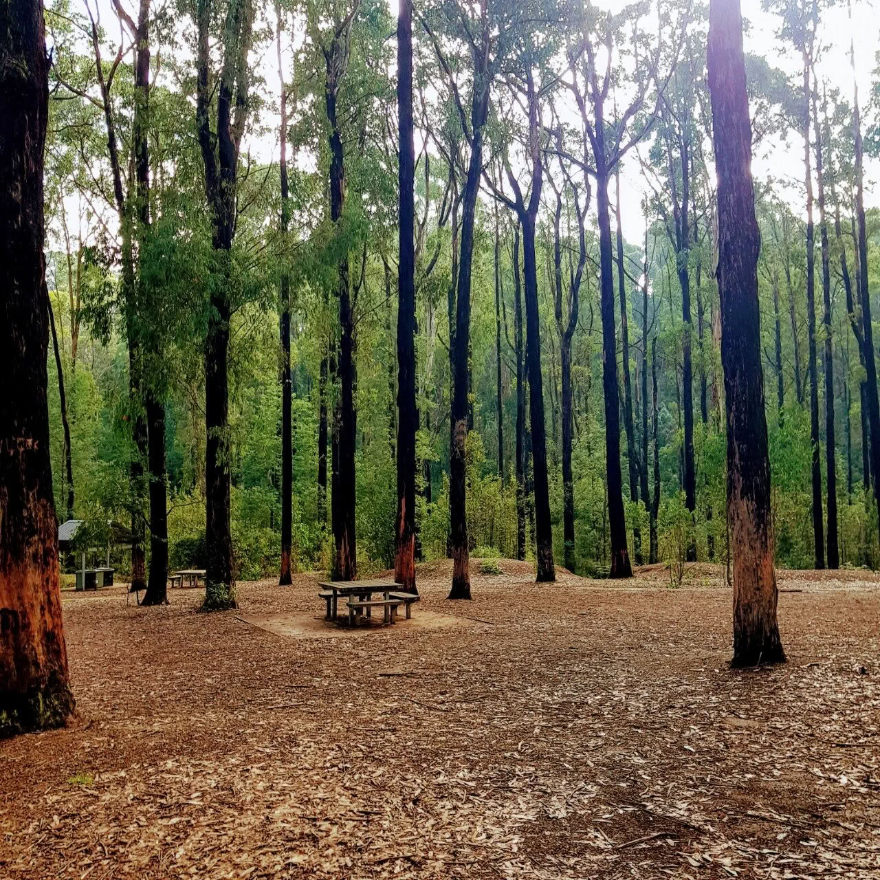 Retiro de día de verano