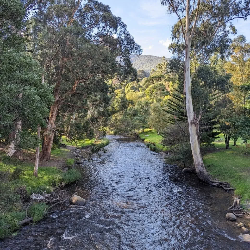 retiro de bienestar en Warburton