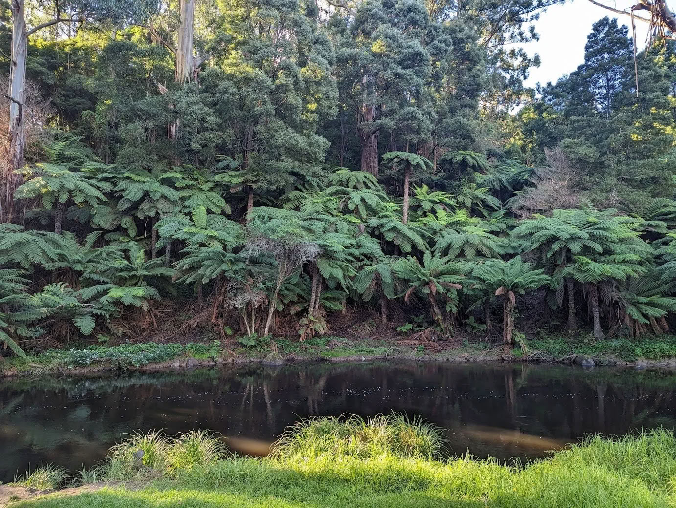 retiro de bienestar en Warburton