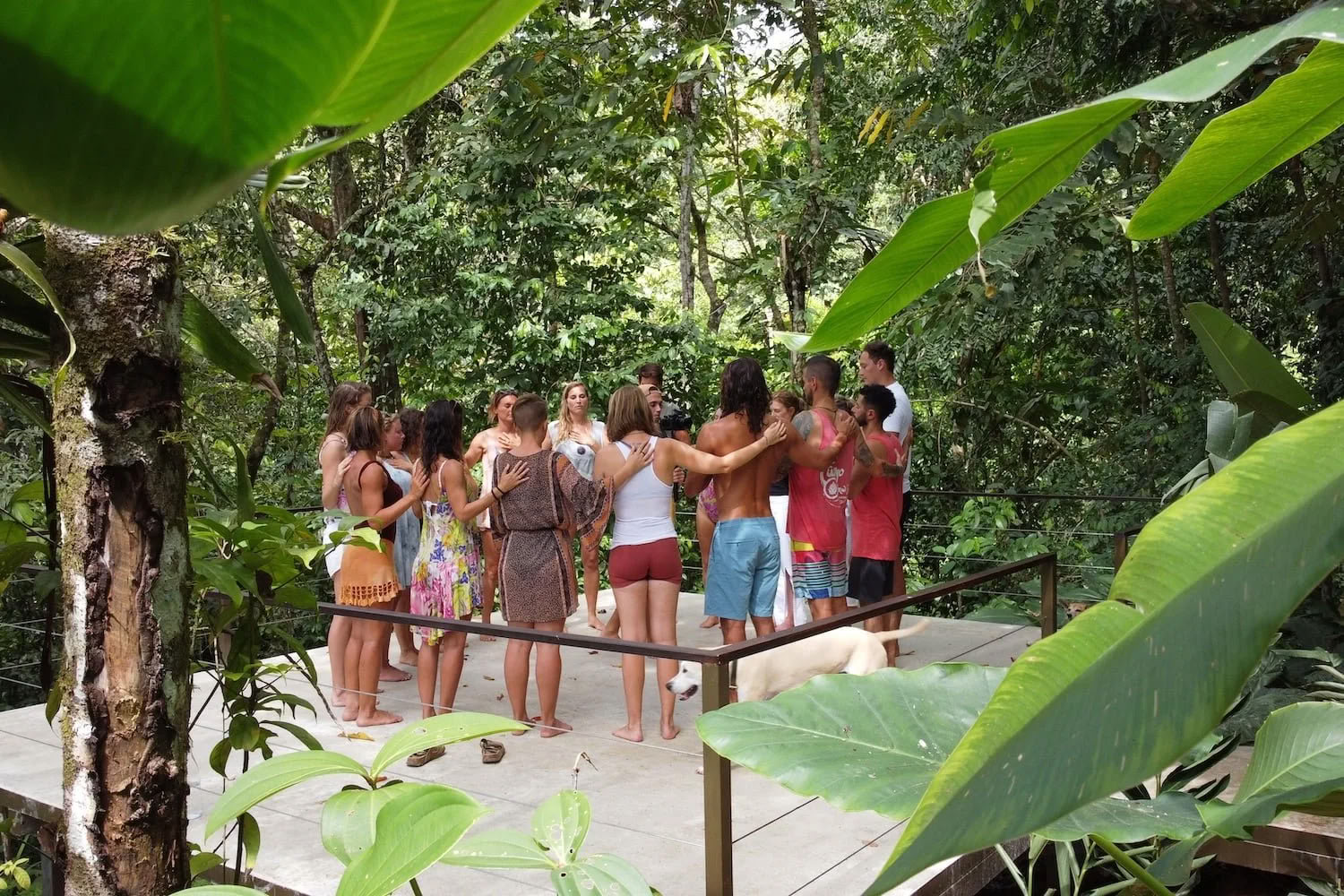 De vuelta a la naturaleza, de vuelta a ti mismo