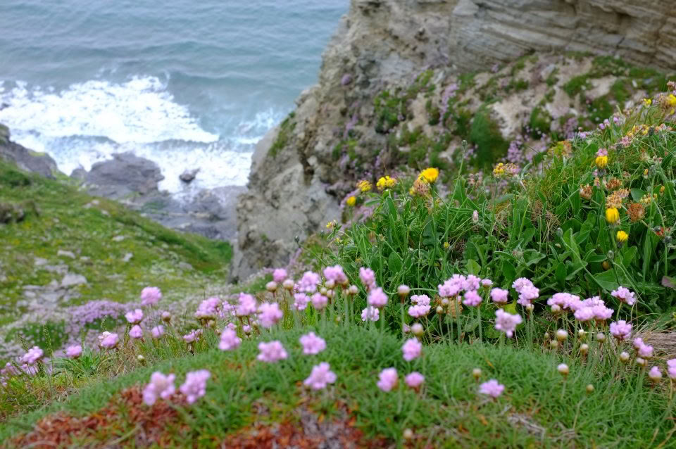 Retiro de meditación en los sitios sagrados de Glastonbury – jueves 2 de septiembre, 17:00 - domingo 5 de septiembre, 10:30