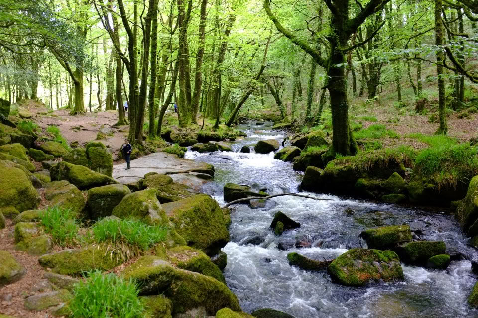 Retiro de Meditación y Mindfulness de 5 Noches