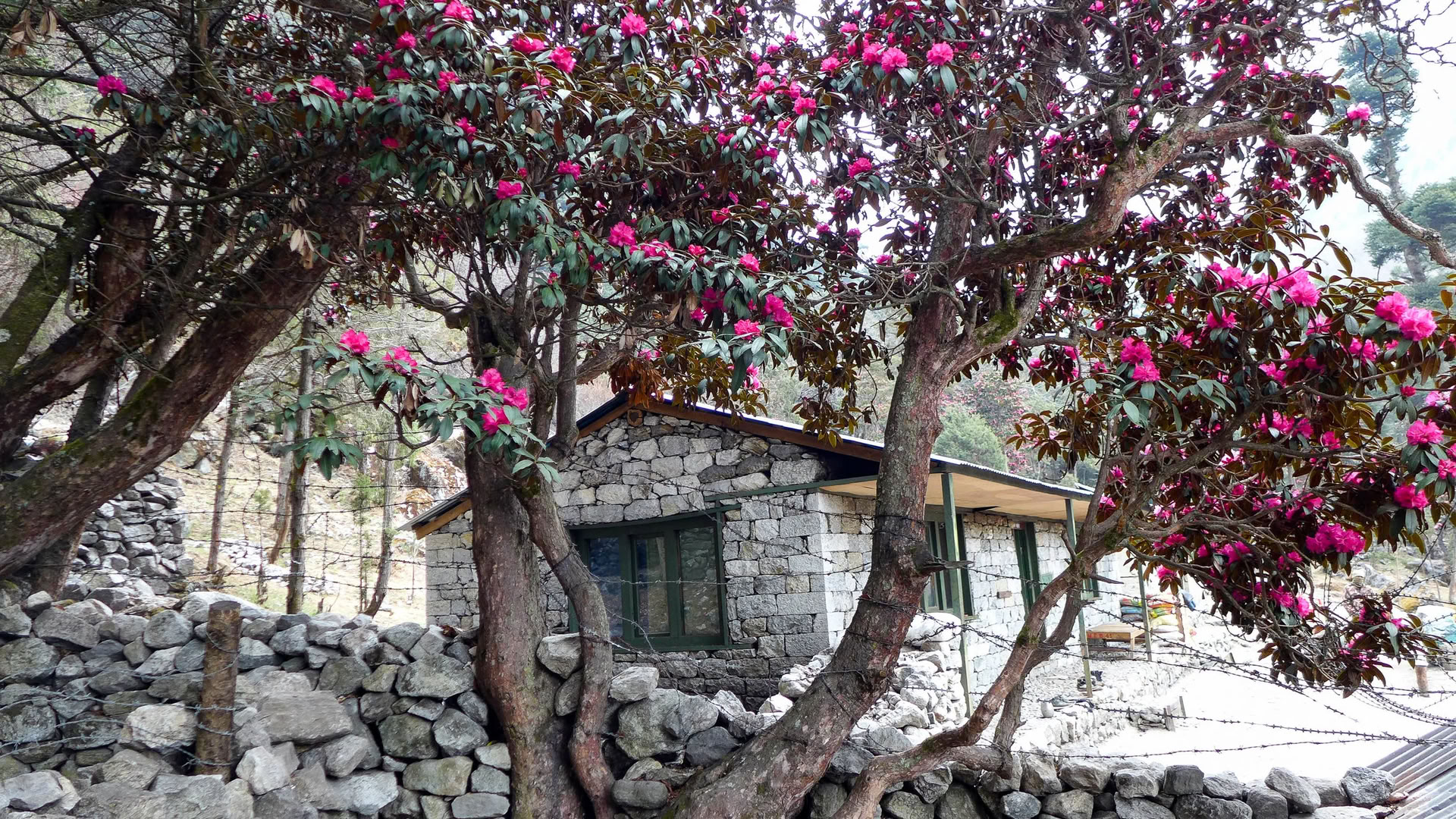 Campo Base del Annapurna