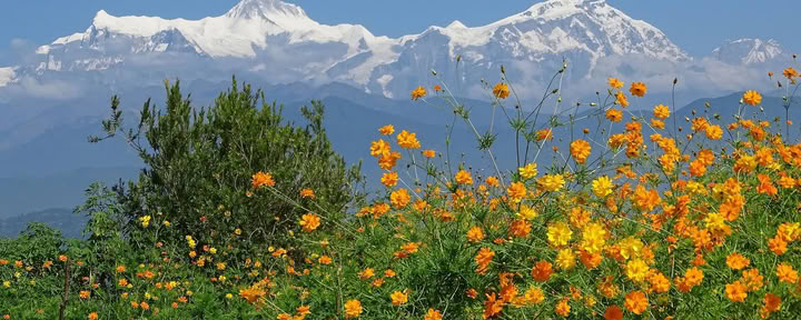 Campo Base del Annapurna