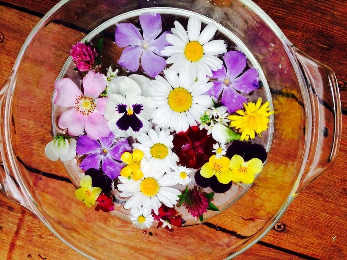 Reinicia tu vida e inspírate: Ayurveda para la renovación metabólica