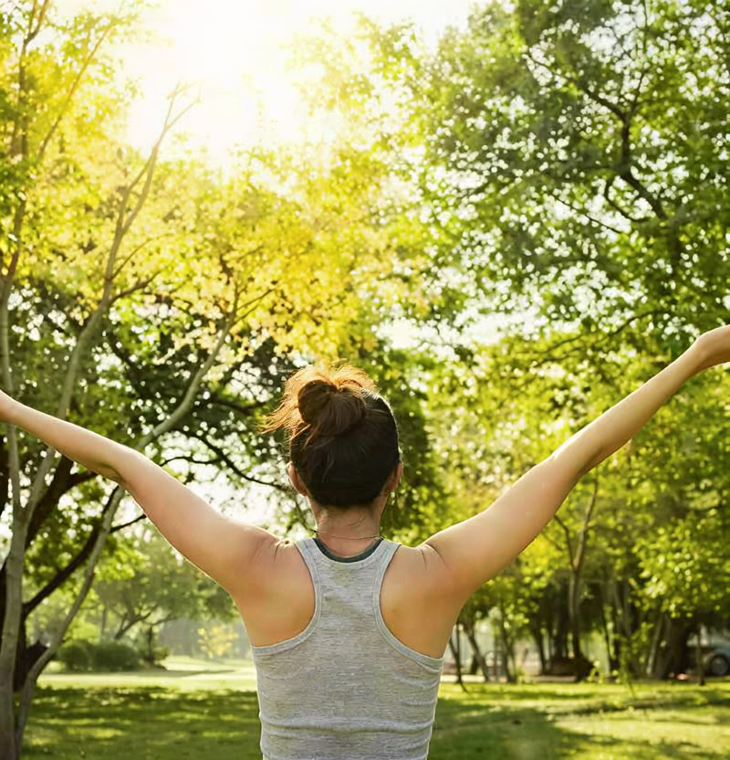 Retiro de limpieza Panchakarma para una renovación y equilibrio profundos