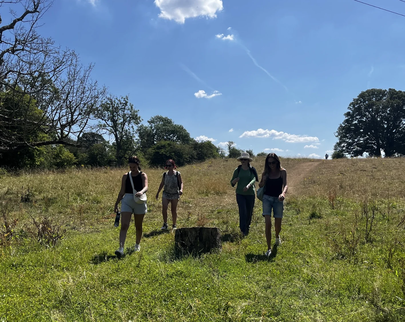 Festival Tierra Digna — retiro enwild