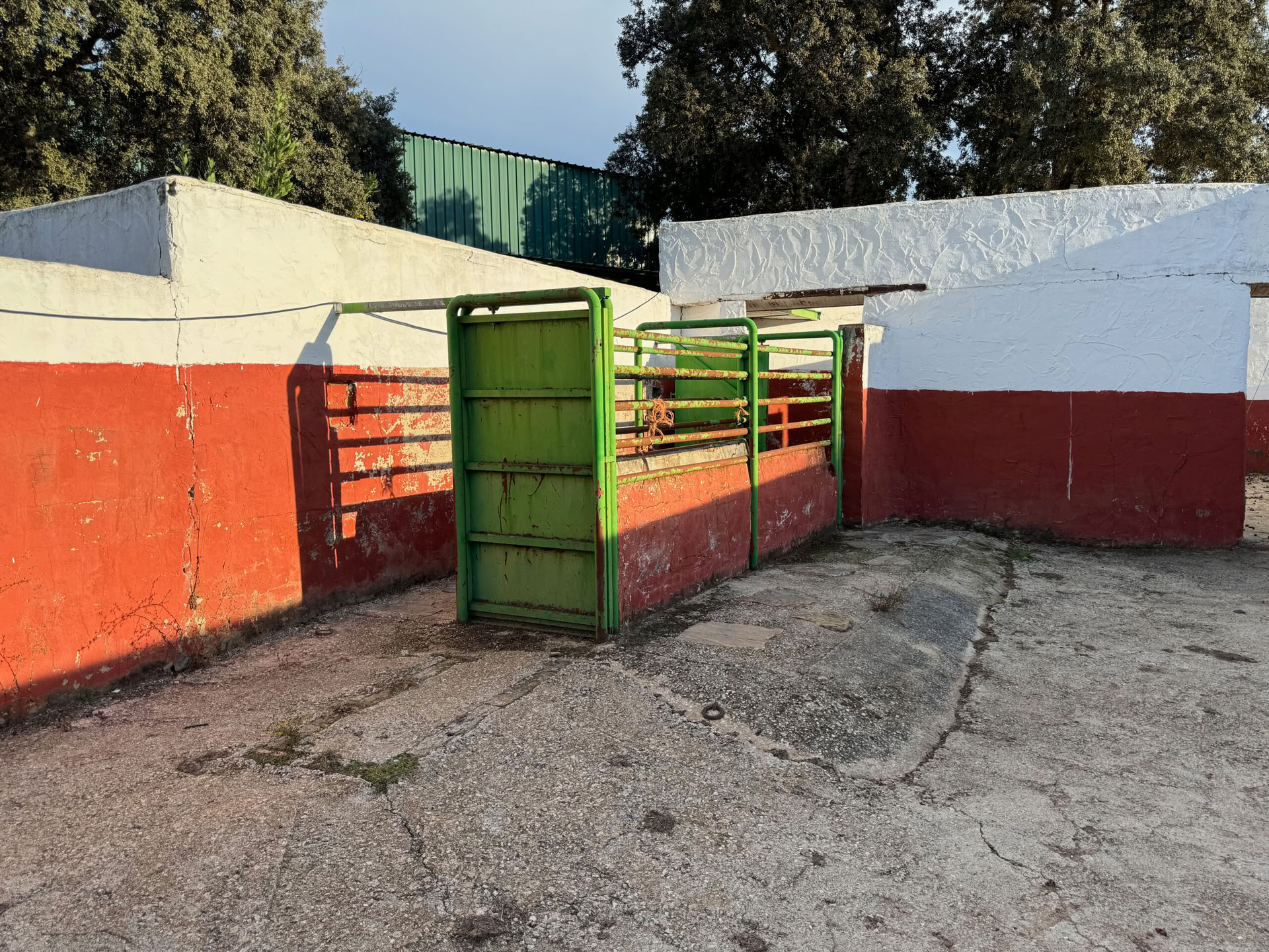 Encuentro del Equinoccio de Gigantes Dormidos