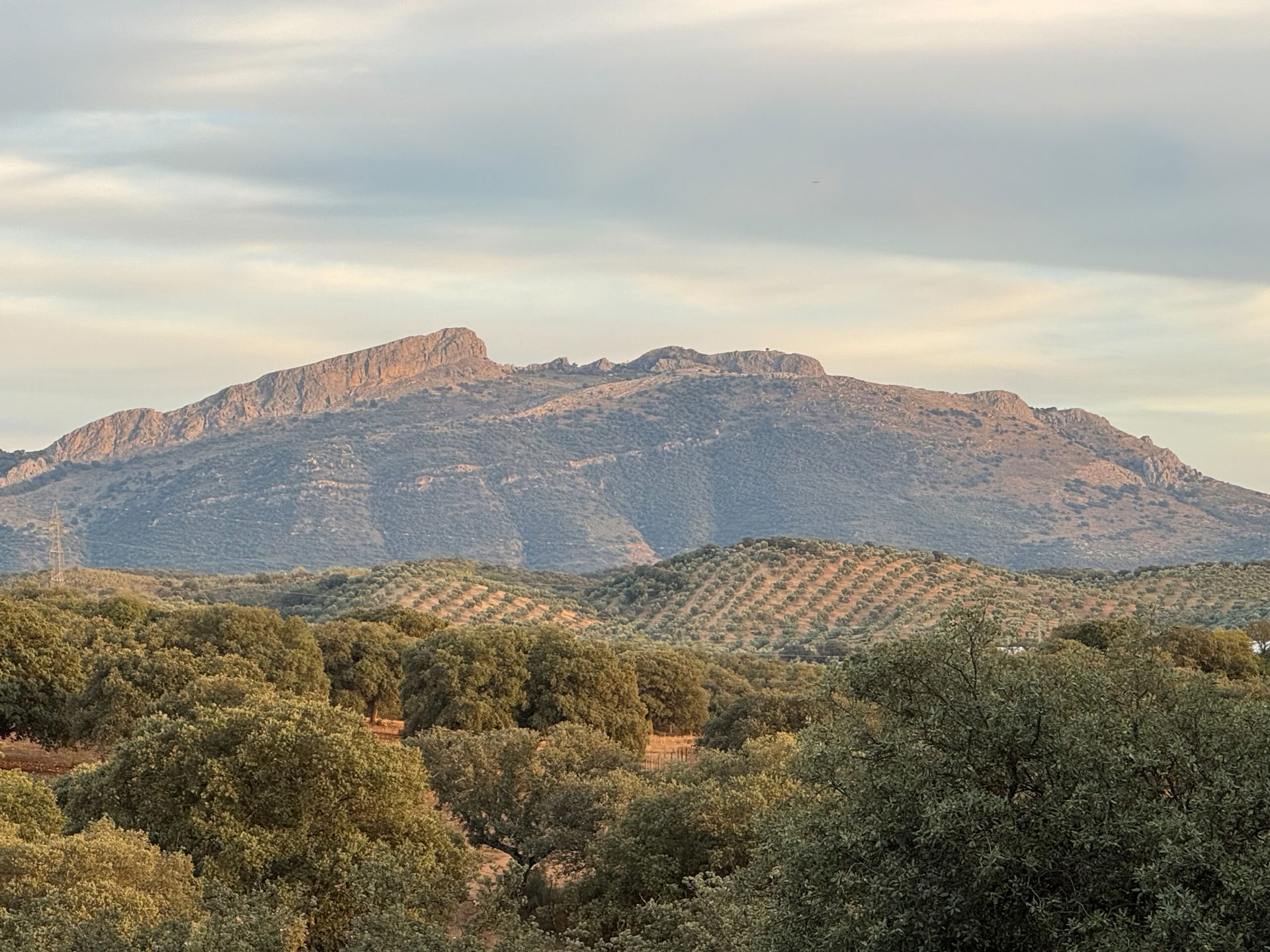 Alquilar Finca La Lola