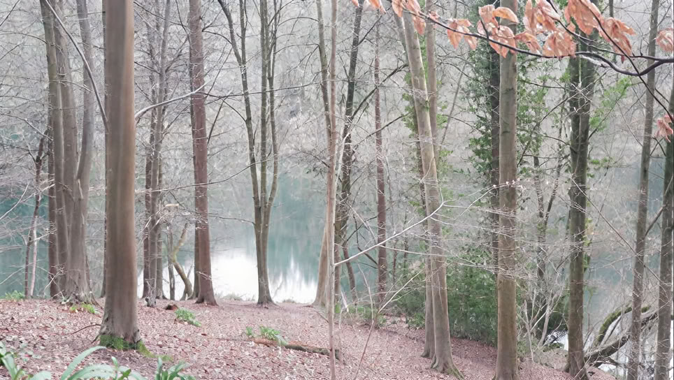 Despierta Tu Ser Creativo - Retiro de 1 Día Sábado