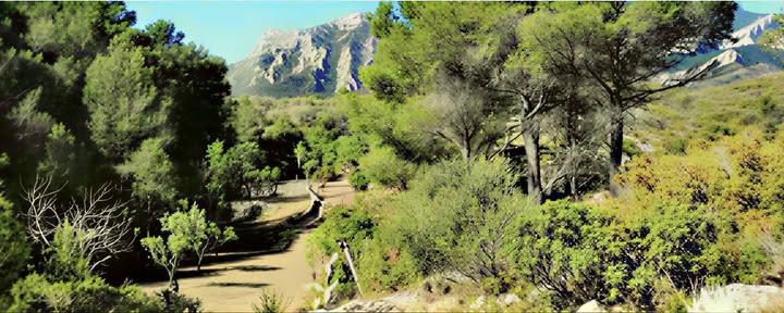 Retiro de yoga y meditación de descanso profundo