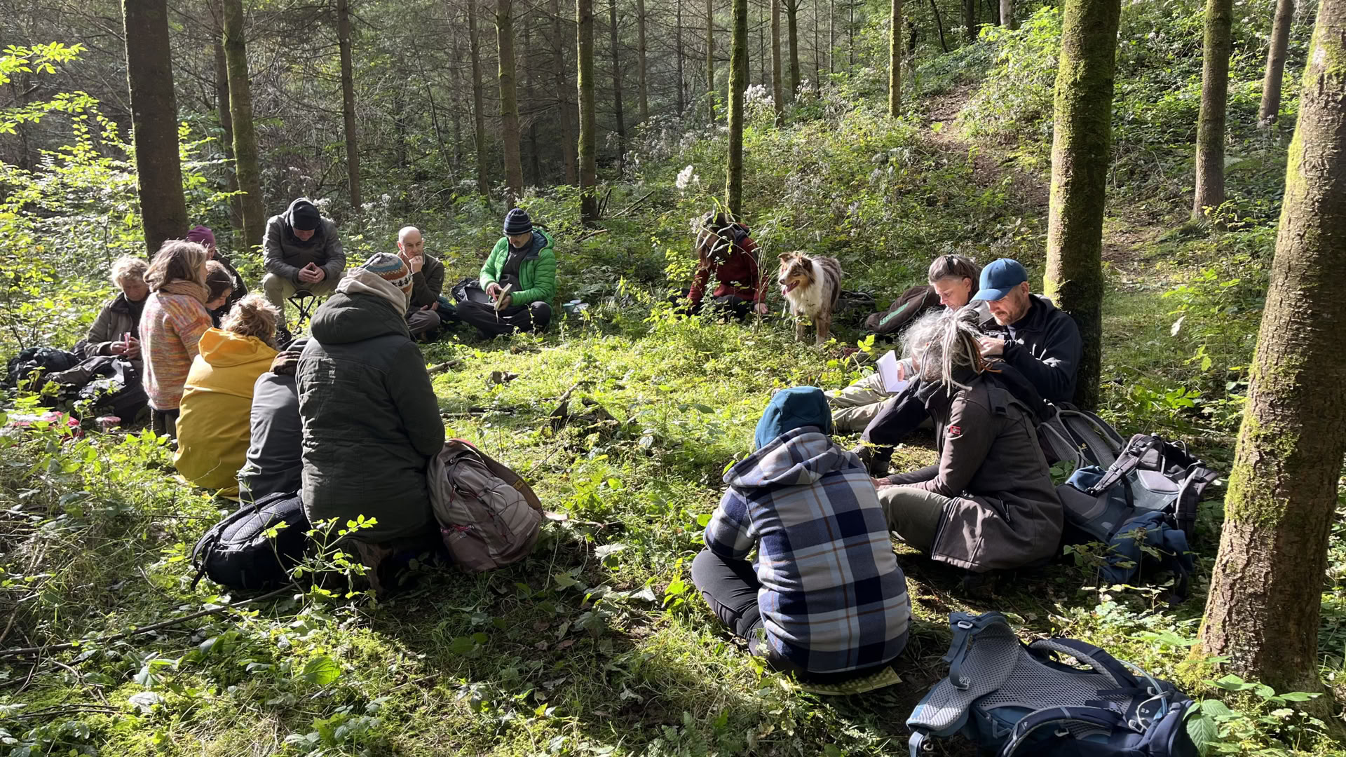 Formación de Mirroring para guías de naturaleza y coaches – 22 al 25 de octubre de 2026 – ÚLTIMAS 2 PLAZAS