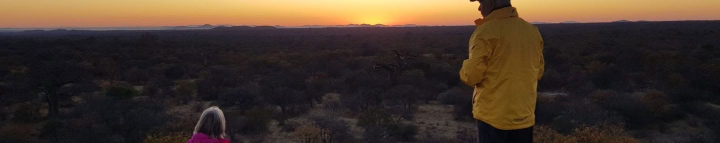 Safari guiado