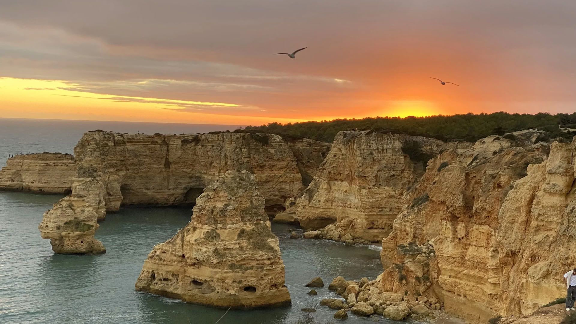 9 - 15 de octubre de 2026 — Retiro de yoga en Algarve