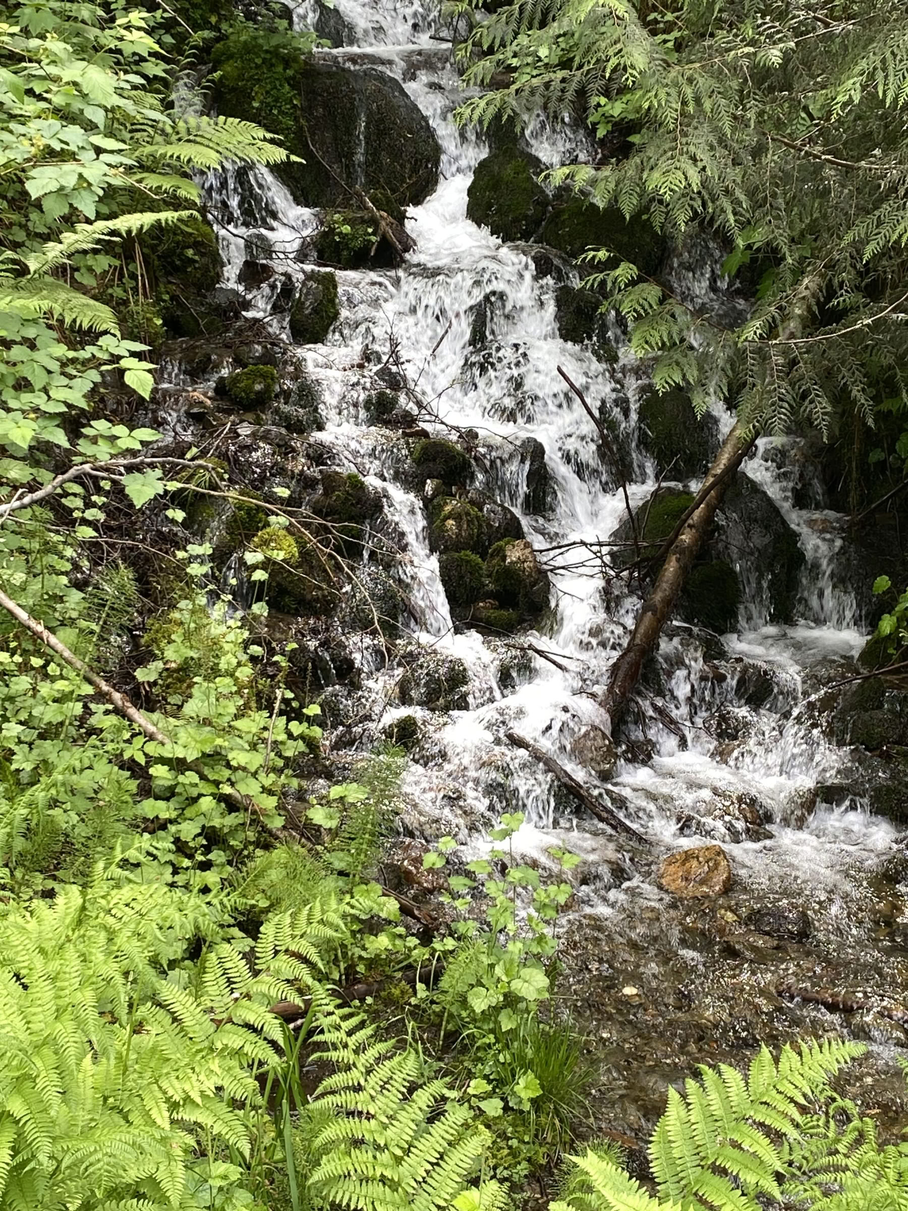 Retiro de sanación, senderismo y yoga en Fox Creek Falls