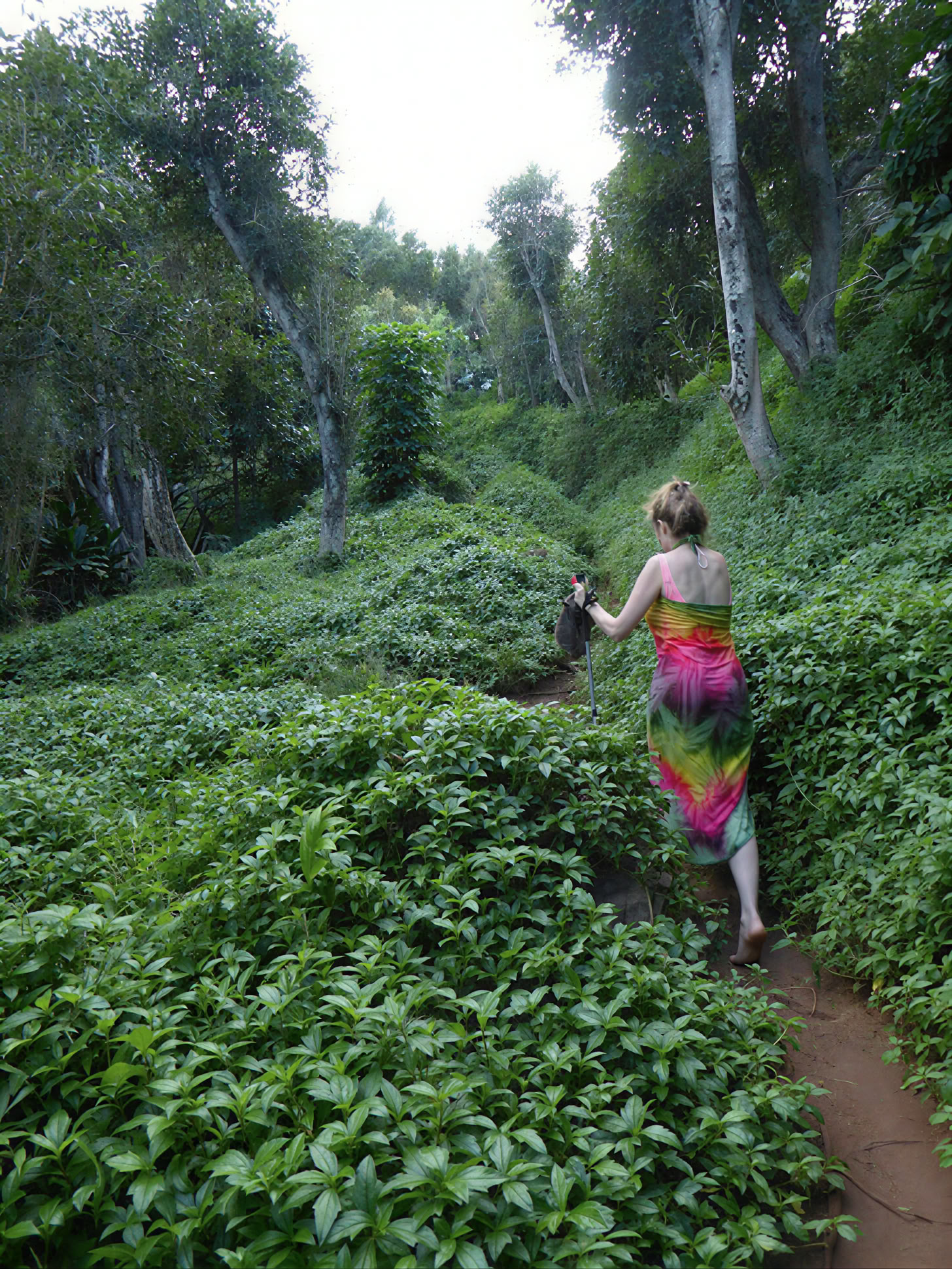 Retiro de yoga en Kauai, Hawái