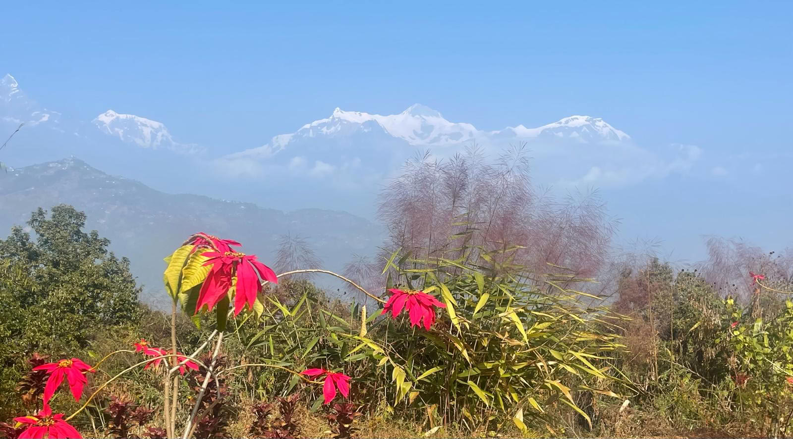 Retiro de sanación y aventura en el Himalaya