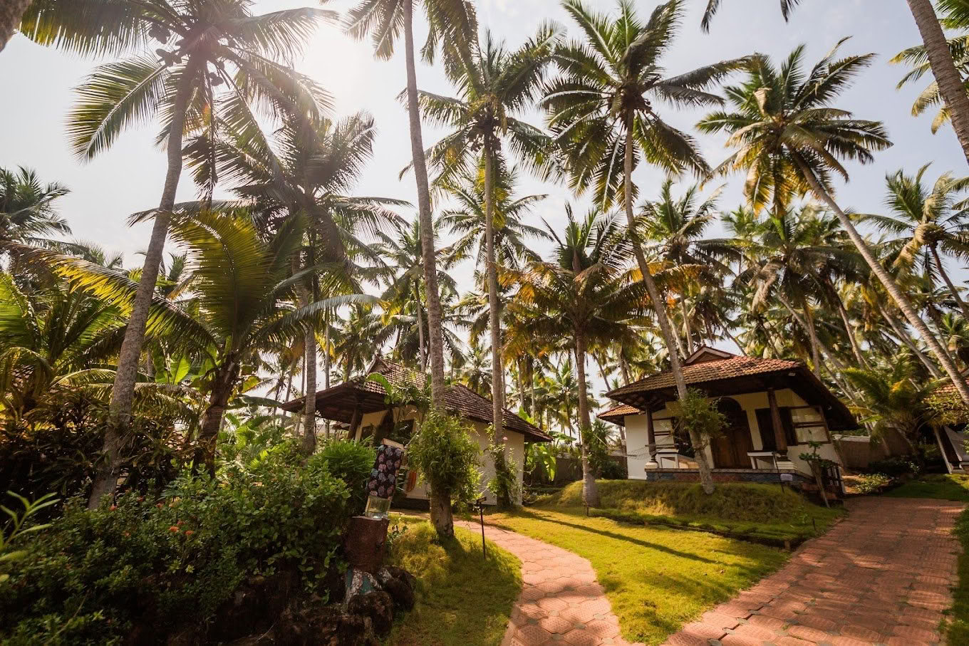 Retiro de yoga y ayurveda en India - 1 de septiembre