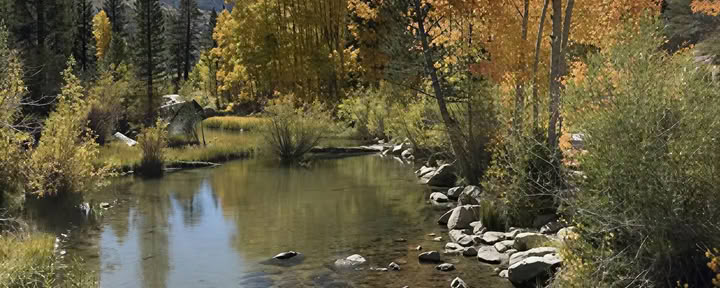 Escapada de yoga a Bishop Creek
