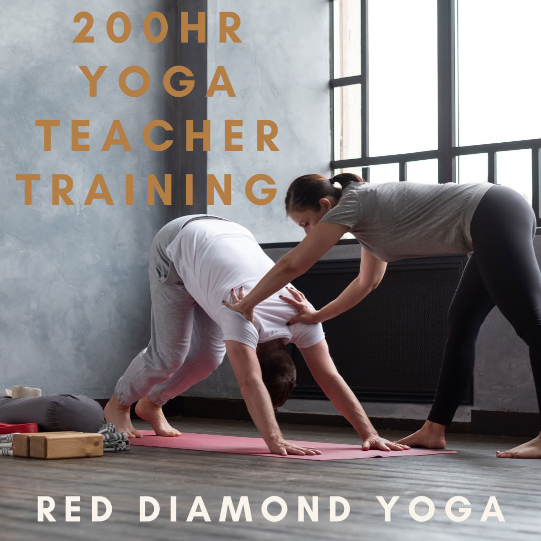 Formación de profesores de Vinyasa de 200 horas, certificada por Yoga Alliance