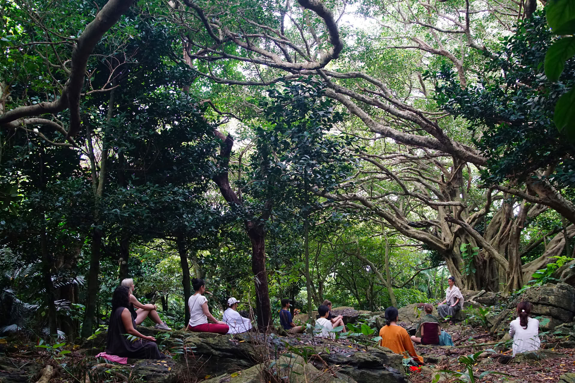 Retiro de meditación y yoga de atención plena en silencio