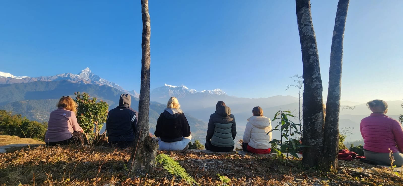 Curso de Formación de Profesores de Yoga con Vistas al Himalaya (5 de septiembre de 2026)