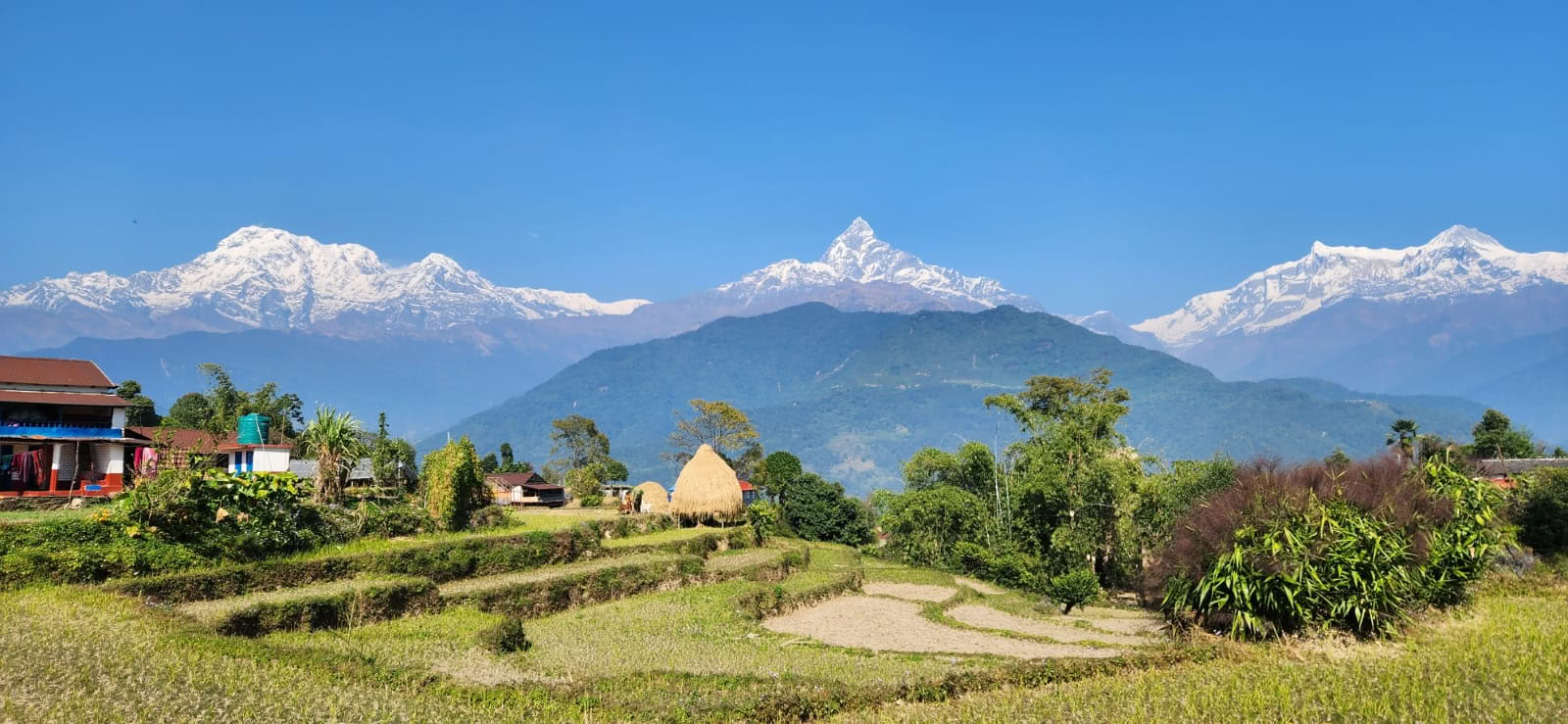 Formación de profesores de yoga de 200 horas con vistas al Himalaya en Astam, cerca de Pokhara