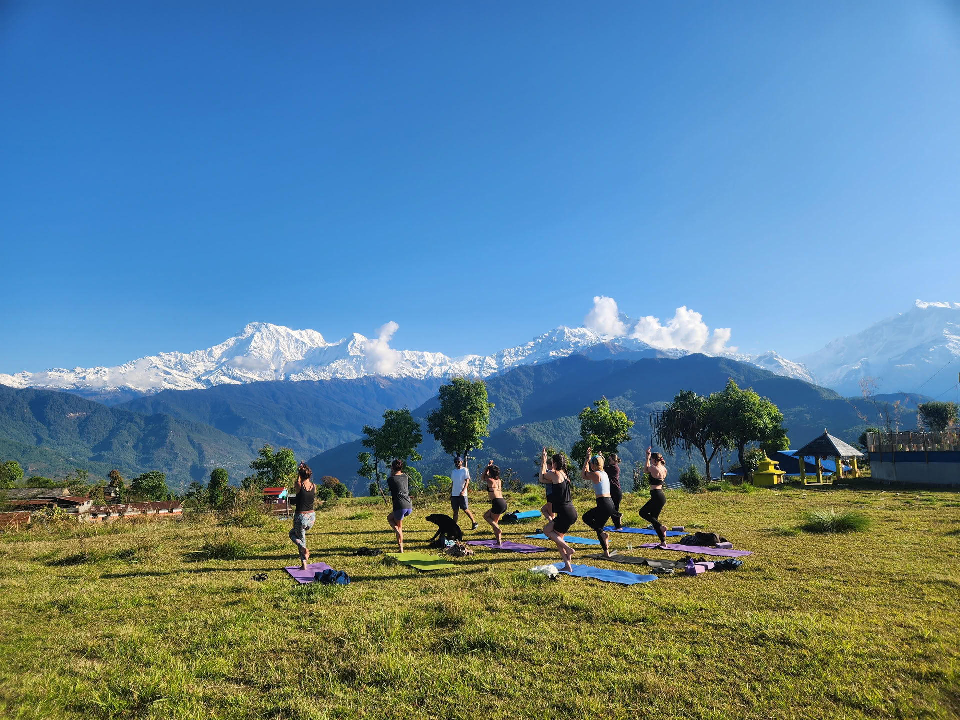 Curso de Formación de Profesores de Yoga con Vista al Himalaya (5 de octubre de 2026)