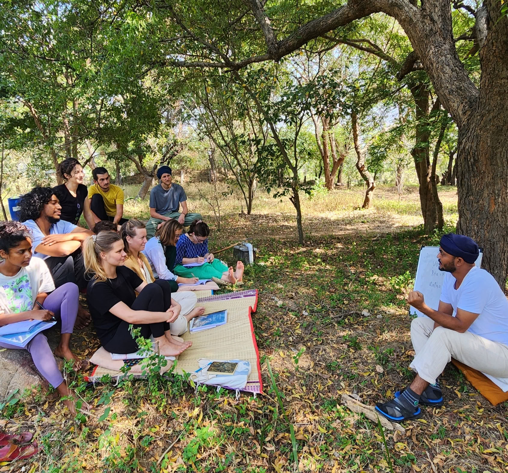 Formación de Profesores de Yoga de 200 Horas