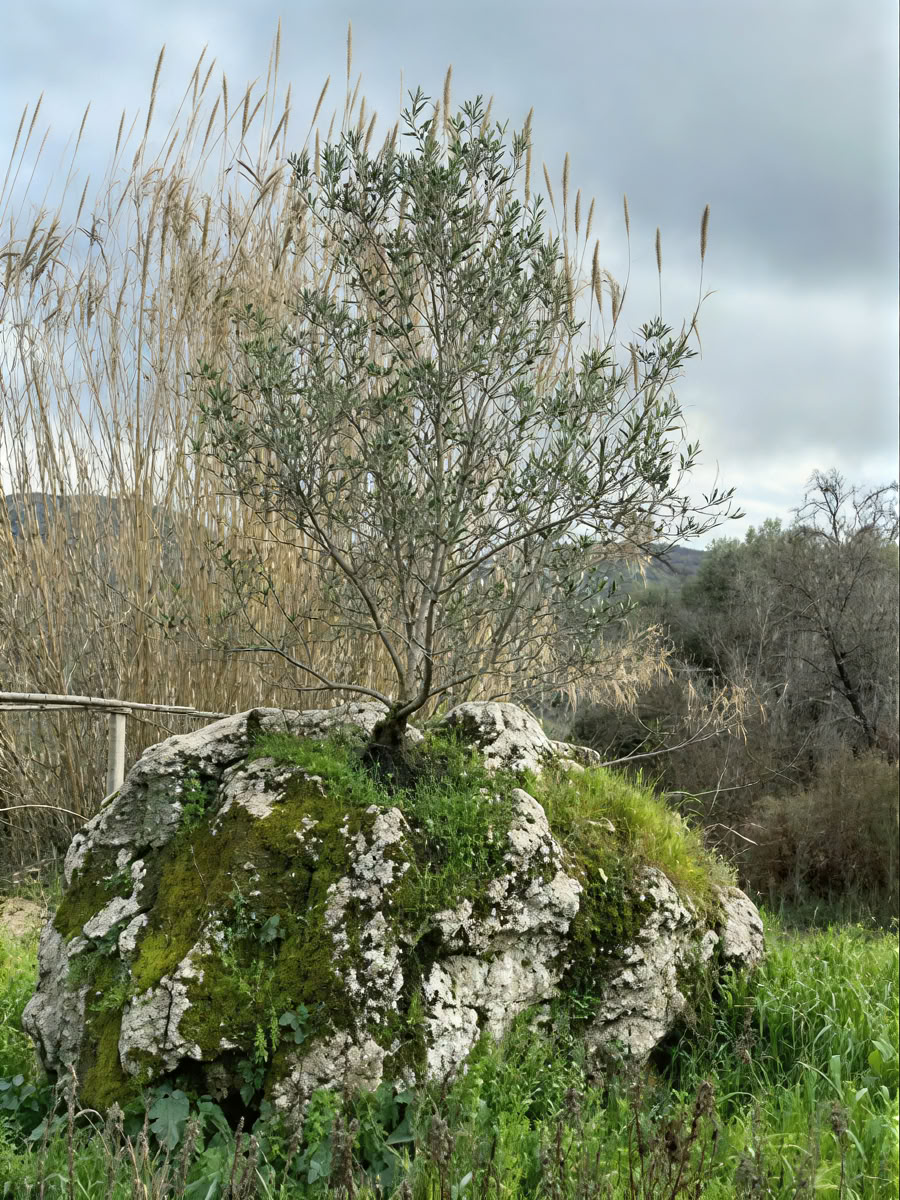 Alquila un retiro