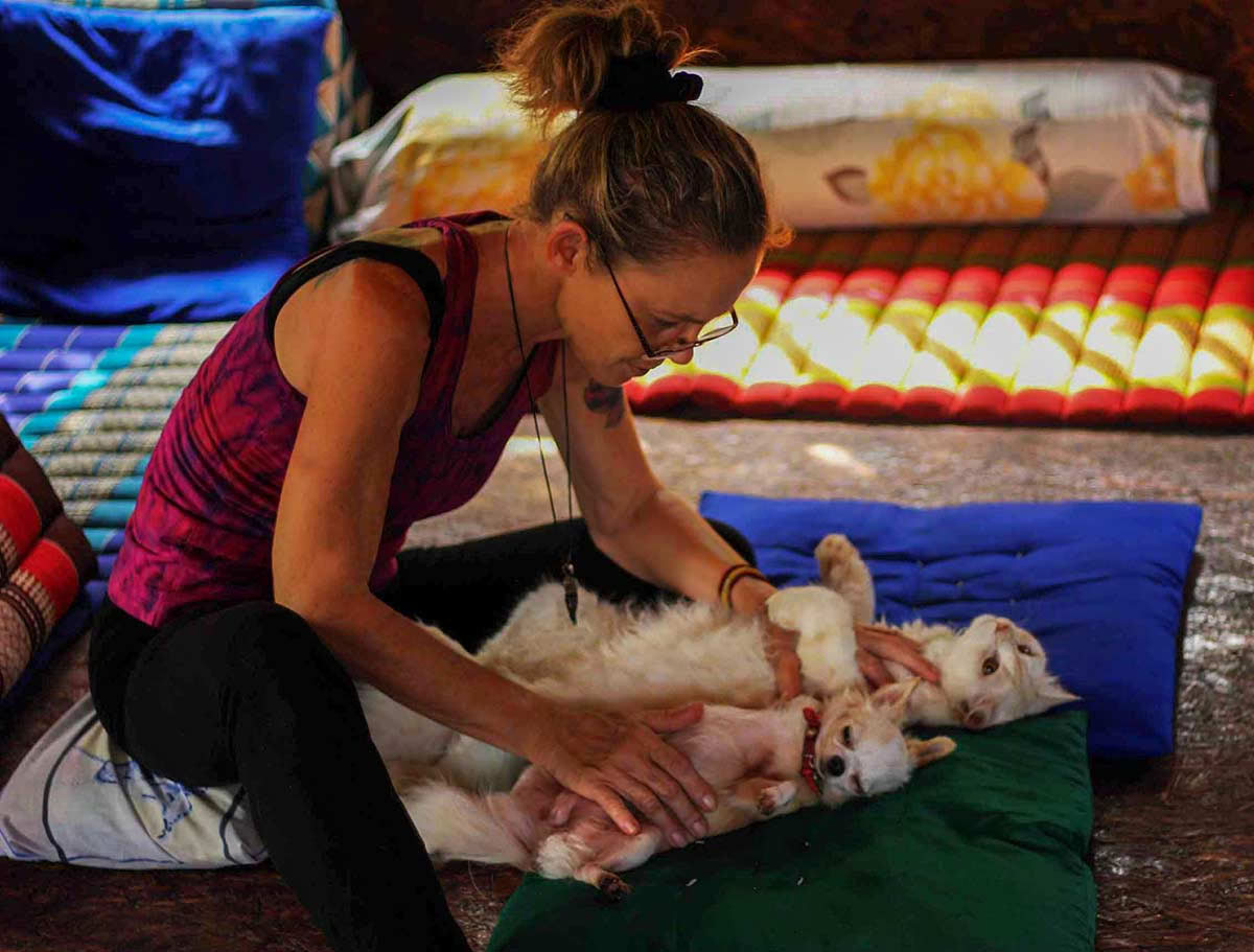 Sanación Reiki