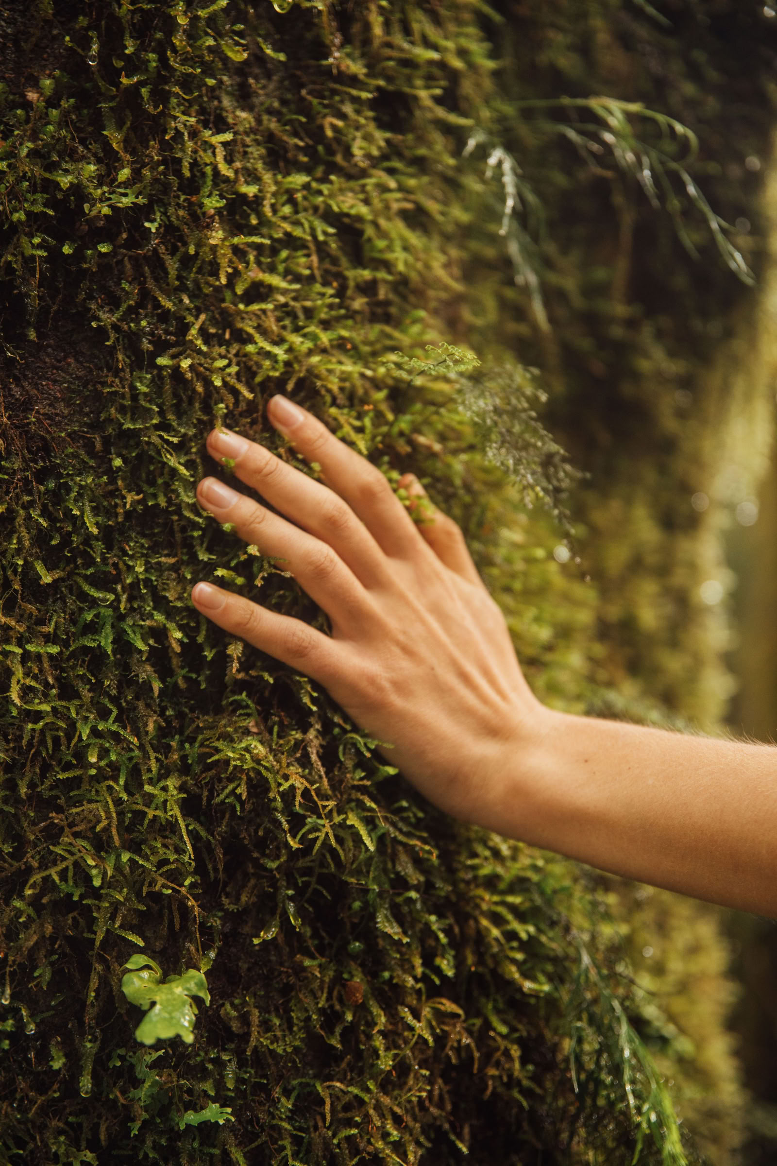 Reconéctate con la naturaleza