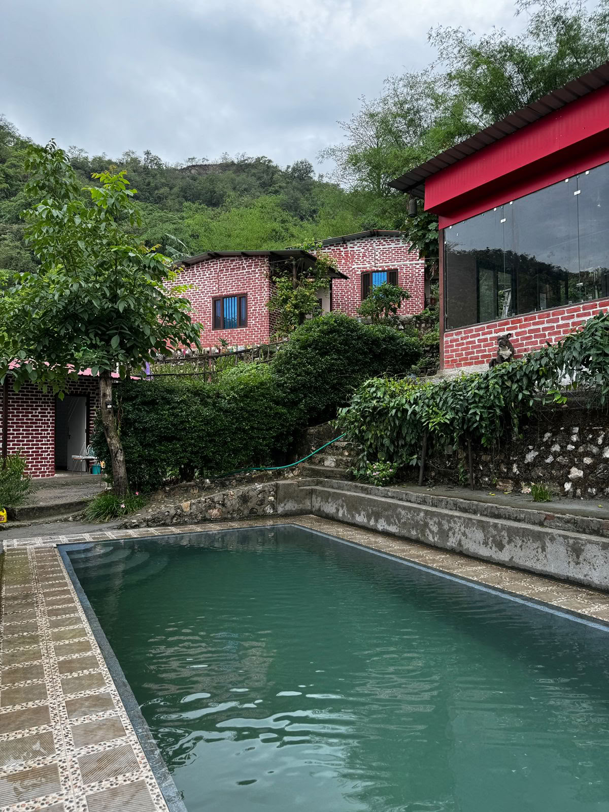 Retiro de 6 días de rendición en Rishikesh