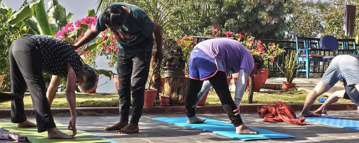 Introducción al Hatha Yoga