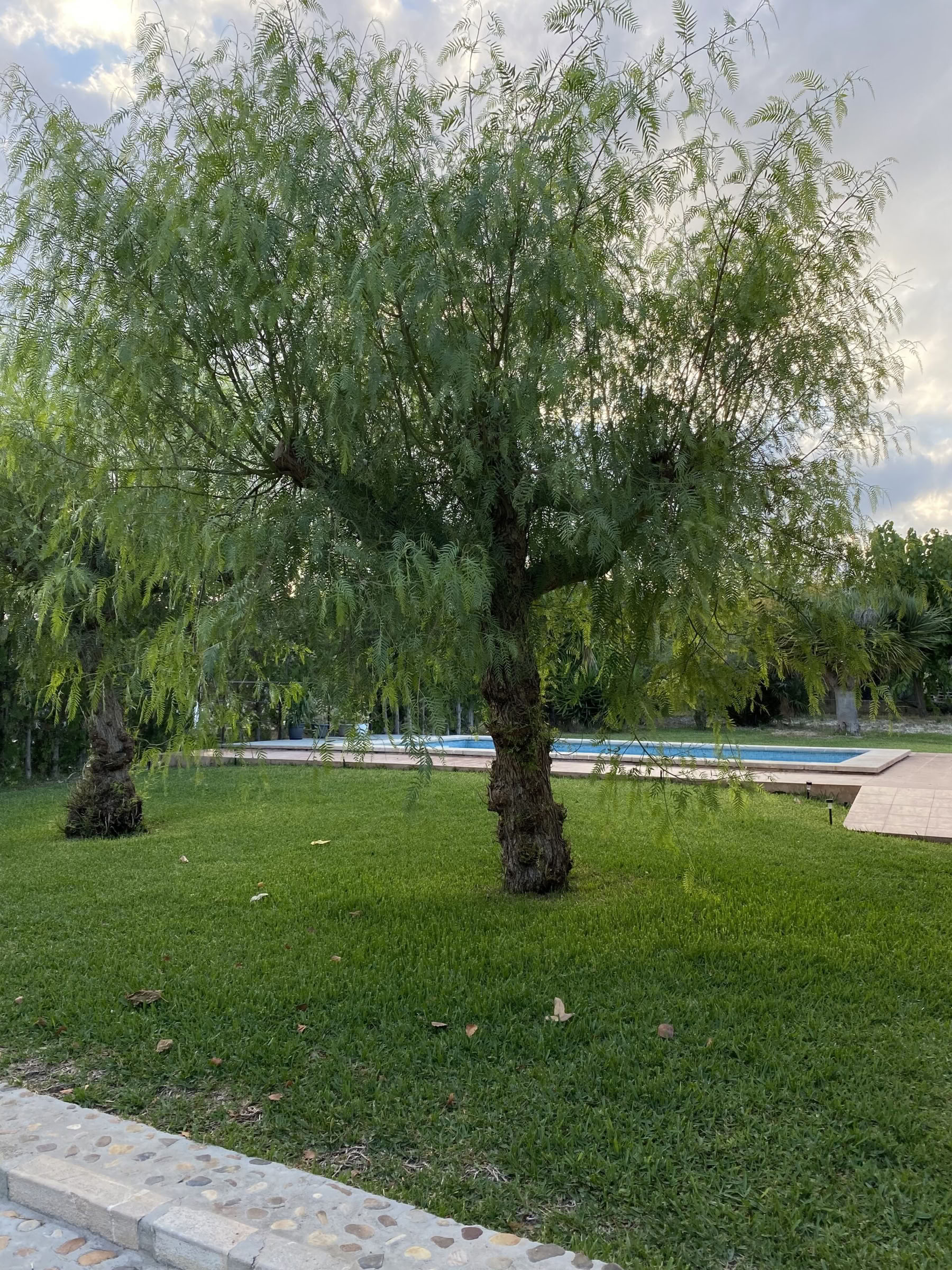 Retiro de Año Nuevo: Manifiesta y fluye hacia 2027