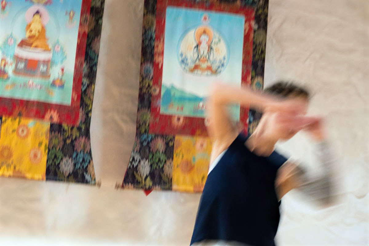 grulla blanca despliega las alas: tai chi, escritura y meditación