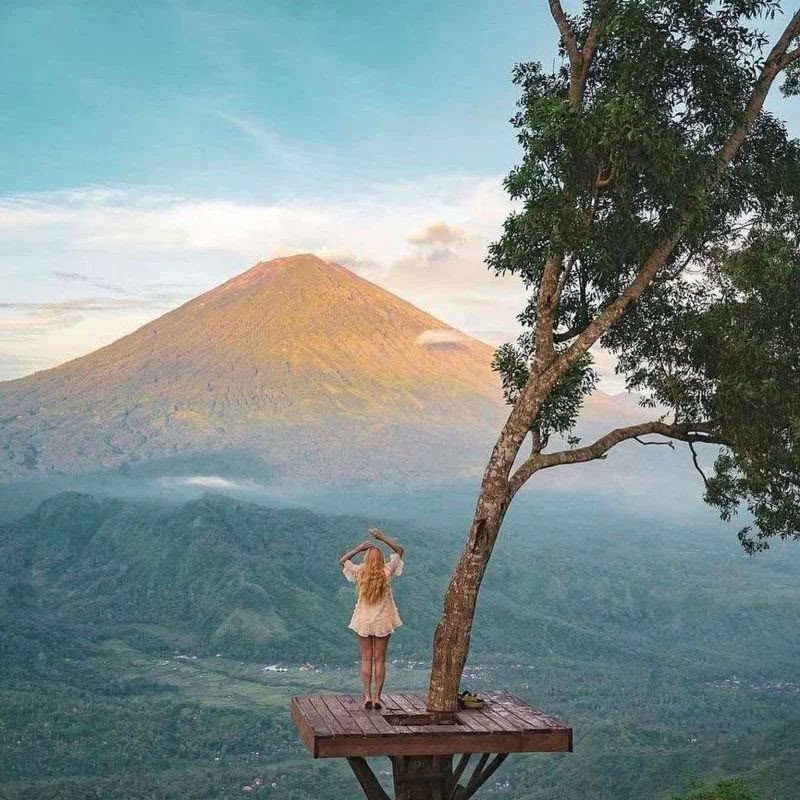 Descubre las maravillas del norte de Bali
