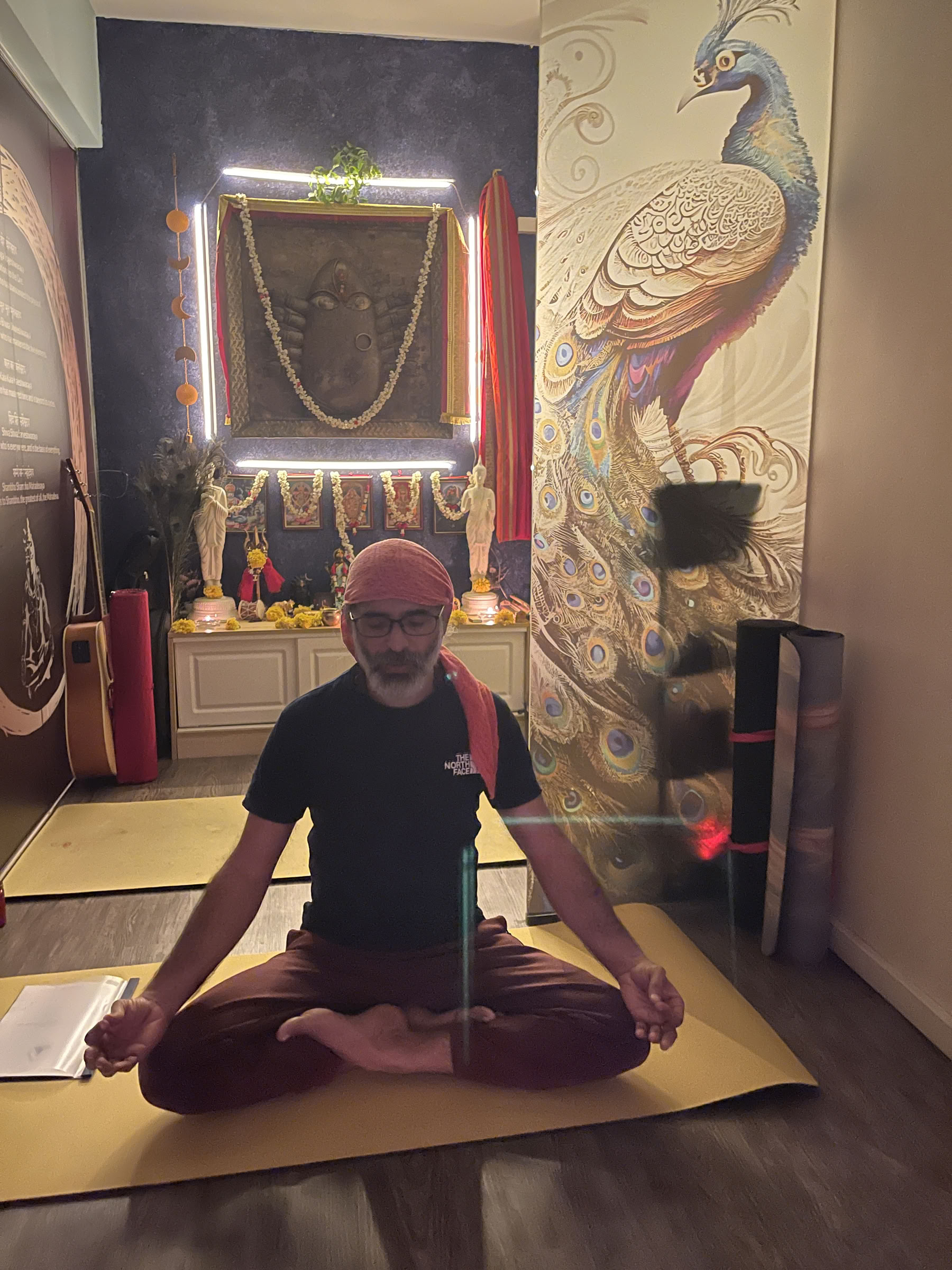 Taller de Yoga para la Salud Digestiva y el Metabolismo en Singapur
