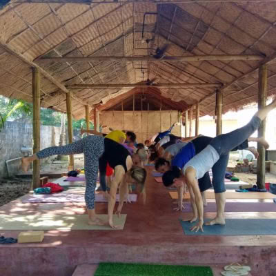 Curso de Yoga Zen de 21 Días – Armonía de mente, cuerpo y espíritu