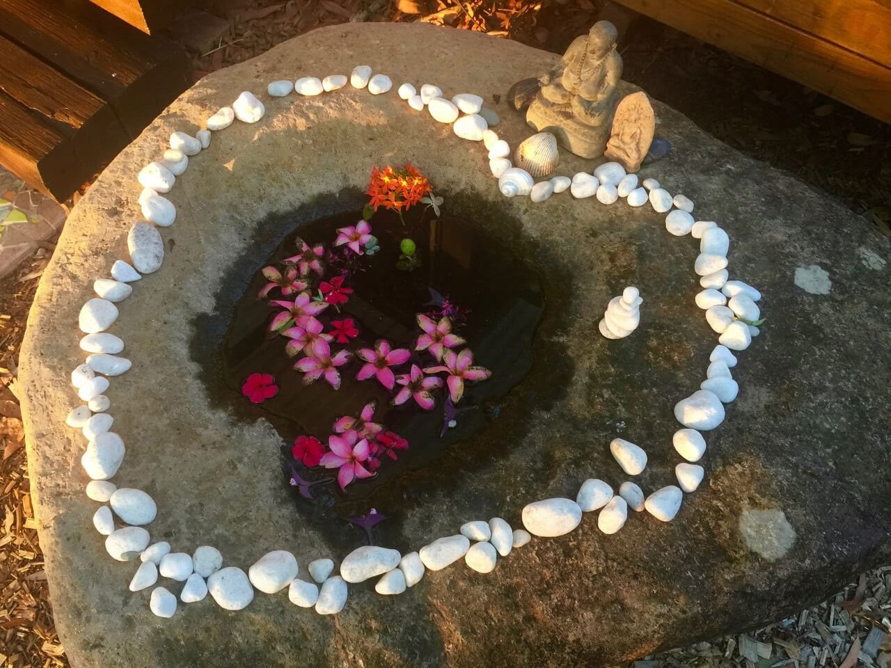 Retiro de meditación de introspección