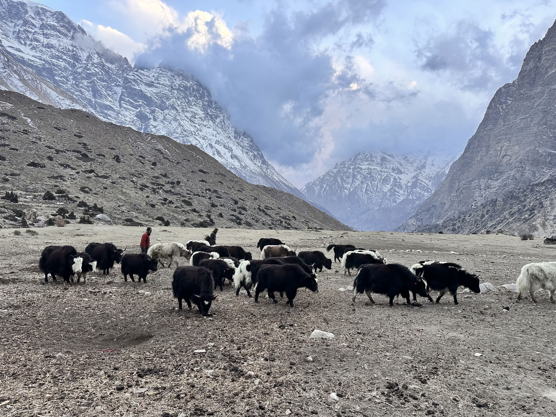 Trekking de yoga por el circuito de Annapurna con el lago Tilicho