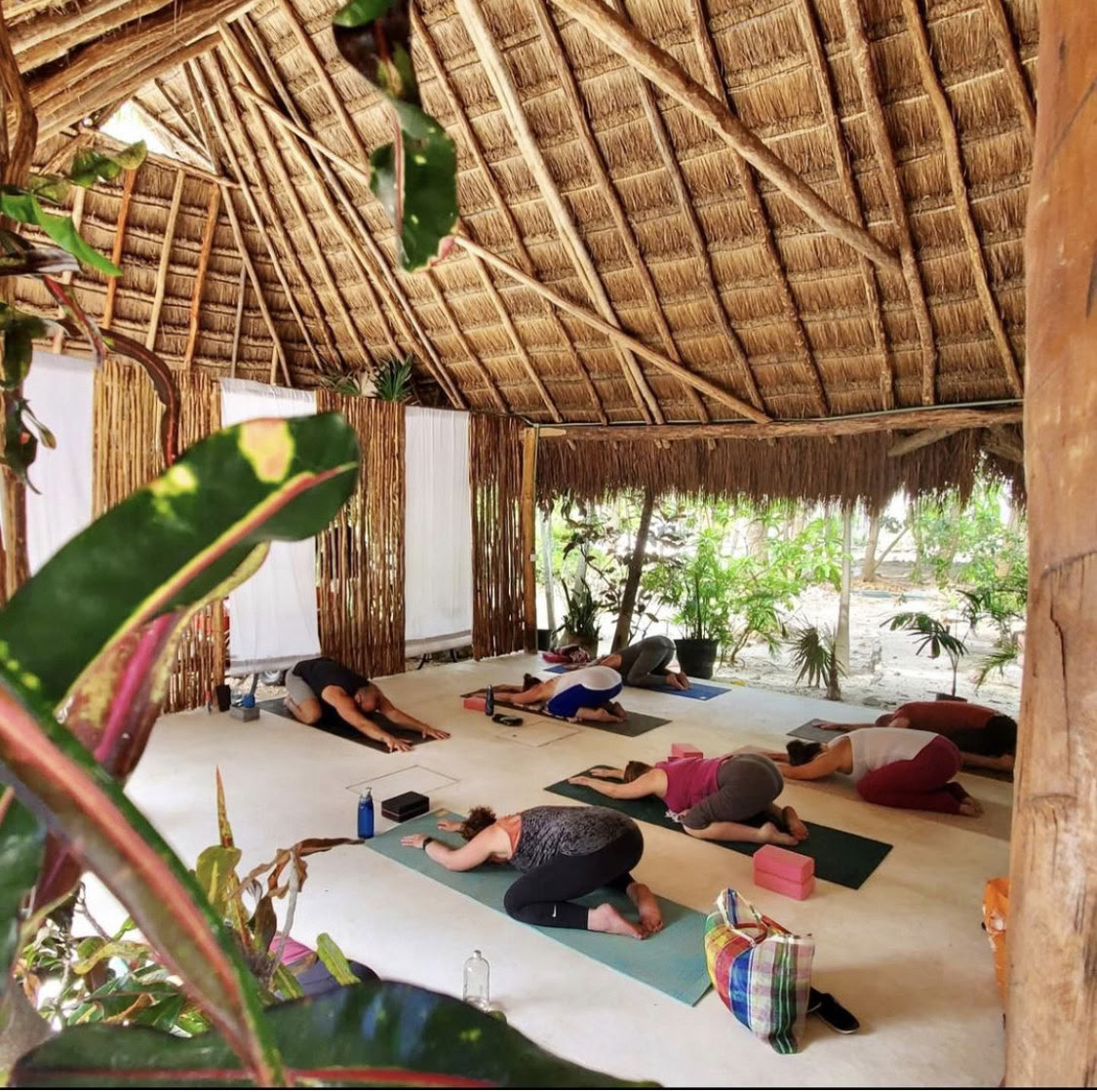 Retiro de 7 días de yoga y meditación Ocean Flow aquí y ahora
