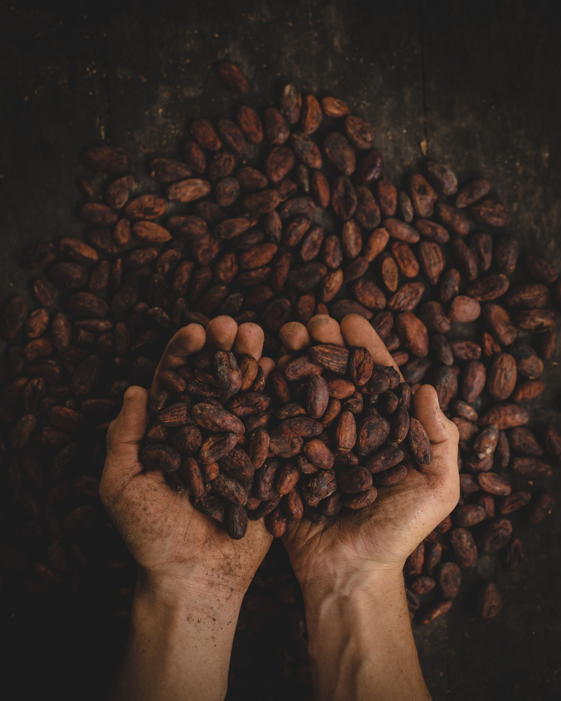 Ceremonia privada de cacao