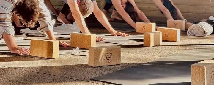 Retiro de yoga no tan serio
