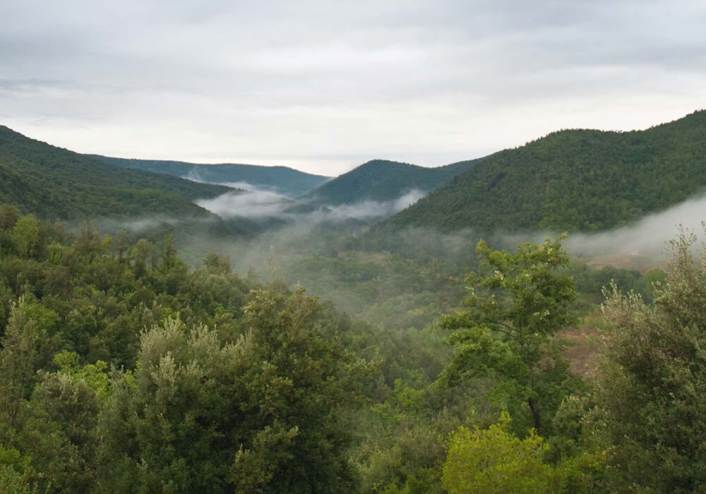 Santuario