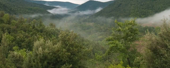 Santuario